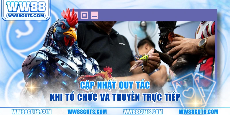 Luật Đá Gà Thomo Chuẩn Quốc Tế Cho Người Chơi WW88 6 Cập nhật quy tắc khi tổ chức và truyền trực tiếp