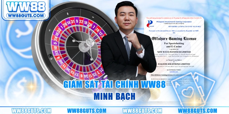 Giấy Phép Hoạt Động WW88 - Minh Chứng Hợp Pháp, Uy Tín 2025 7 Giám sát tài chính WW88 minh bạch