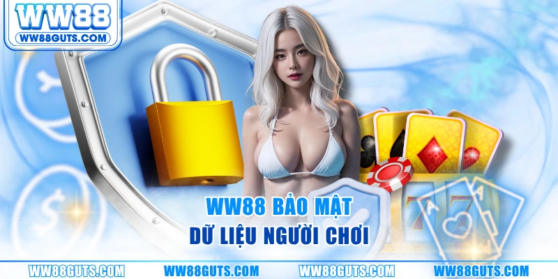Quyền Riêng Tư WW88 - Cam Kết Bảo Mật An Toàn Dữ Liệu 2025 7 WW88 bảo mật dữ liệu người chơi